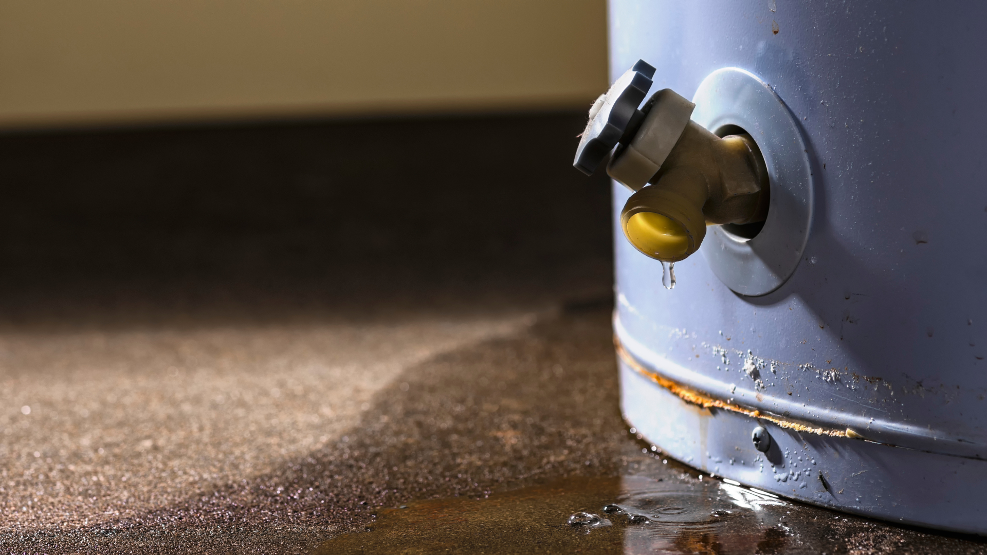 Water heater