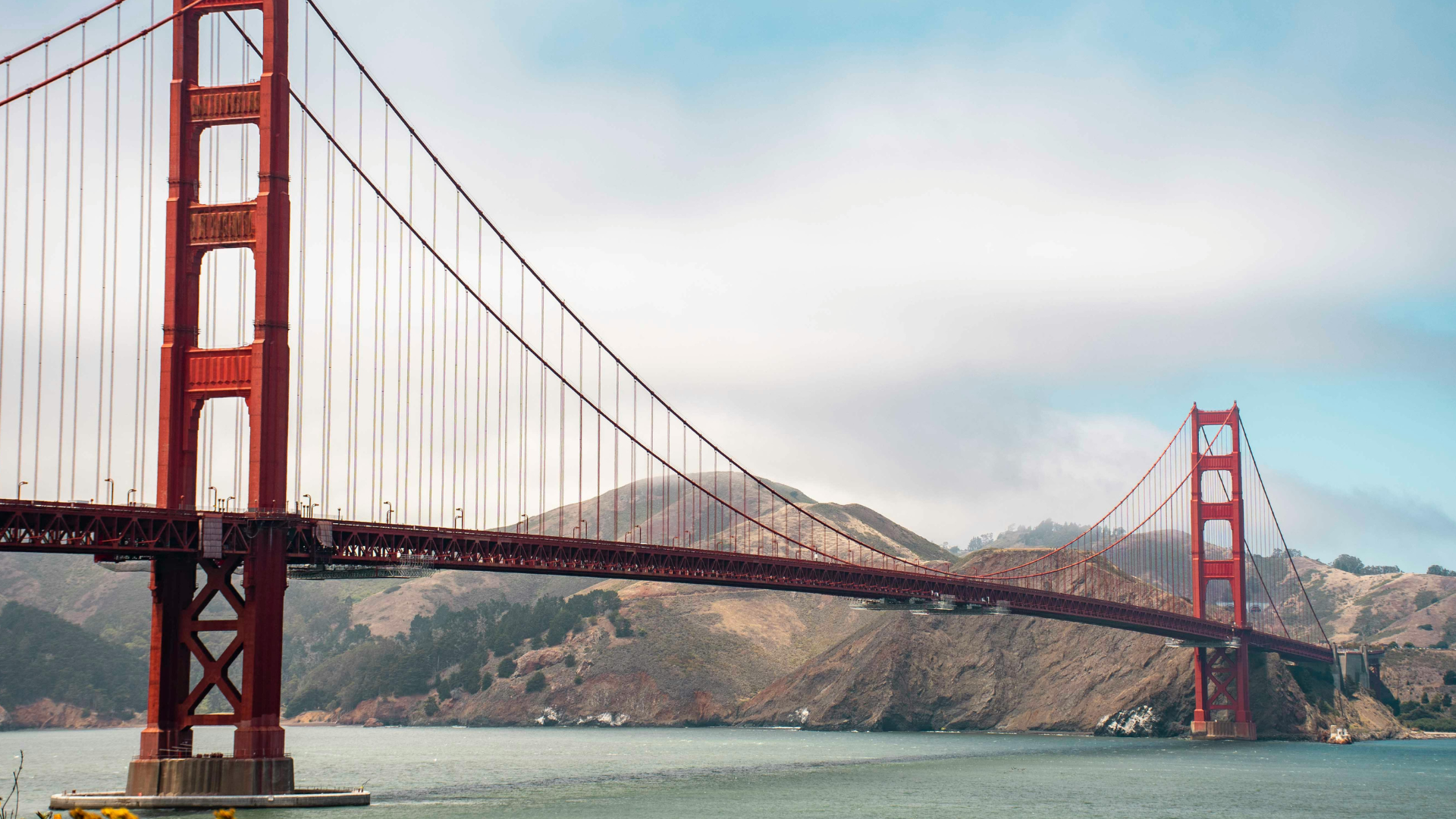 Bay Area